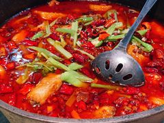 铁锅鱼-左陕右甘(亚运村店)