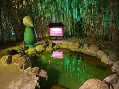 -森波拉火山温泉