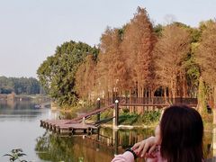 -白云湖畔酒店-湖畔餐厅