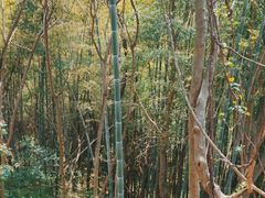 -南山风景名胜区