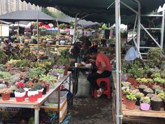 -三圣花乡旅游区