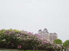 -群力丁香公园