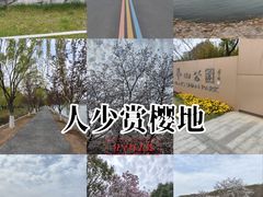 -羊山湖公园