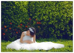 -施华洛婚纱摄影会所(范阳中路店)