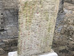 -上海佘山国家森林公园天马山园