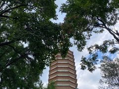 -八大处公园