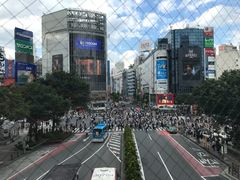 -涩谷全向十字路口