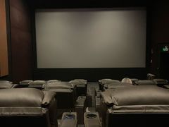 -万达影城(潍坊万达广场IMAX店)