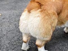 -成都南湖公园