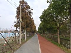 -上海长兴岛郊野公园