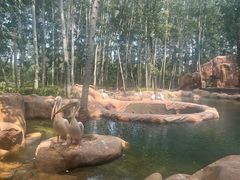 -北京野生动物园