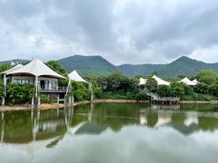 -帐篷客·溪龙茶谷度假酒店