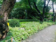 -静安公园(静安寺街道)