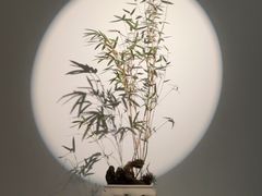 -武汉美术馆(汉口馆)