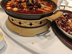 -眉州东坡(北苑华贸店)