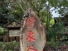 -野象谷景区