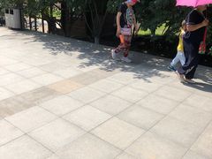 -永定河休闲森林公园