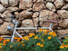 -田德能咖啡博物馆