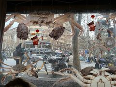 -新花城蟹粉馆(乌鲁木齐店)