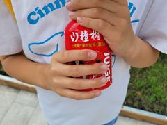-朴小妹人参鸡汤火锅(长白山万达店)