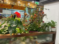 -洞庭家宴·头牌甲鱼(广渠门店)