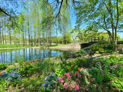 -上海共青森林公园