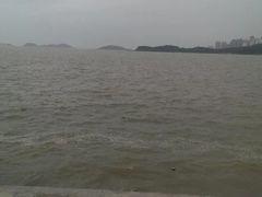 -野狸岛