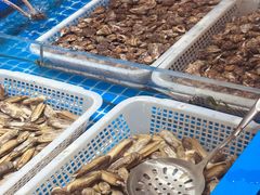 -青岛蓝海大饭店·爱琴海自助餐厅(崂山店)