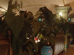 -凯撒城堡西餐厅(颐和国际店)