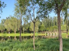 -东郊湿地公园