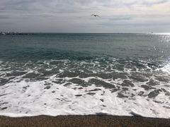 -小巴塞罗那海滩