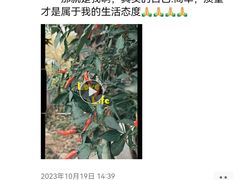 -鑫艺宠物美容培训学校