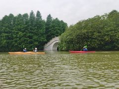 -上海海湾国家森林公园