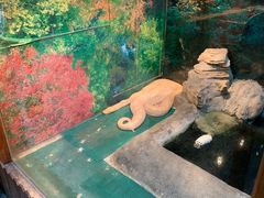 -上海大自然野生昆虫馆(东方明珠·爬宠昆虫探索中心)