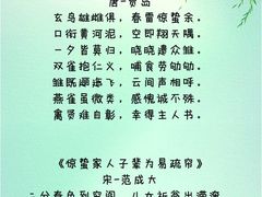 -华祥苑茶馆•国缤茶小蓝罐(普罗旺斯店)