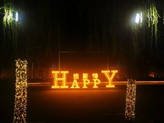 -维斯特·夜烤牛肋条任吃