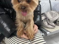 -王允海动物医院(中央大街店)