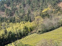 -敬亭山风景名胜区