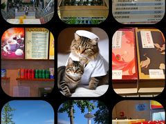 -中国中医科学院西苑医院(本部)