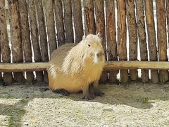 -鄂尔多斯野生动物园