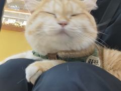 -天井·丑面包搭咖啡
