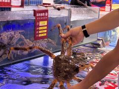 -驻海渔市(置信店)