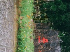 -黟县屏山村