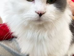 -怪兽屋·羊驼·猫咖·狗咖(俊华广场店)