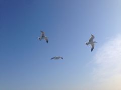 -仁川港国际客运码头