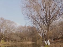 -昆山城市生态森林公园