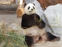 -海南热带野生动植物园