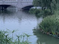 -眉山湿地公园(东坡区)