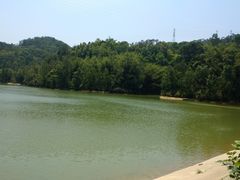 -中山市树木园