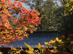-北京上方山国家森林公园